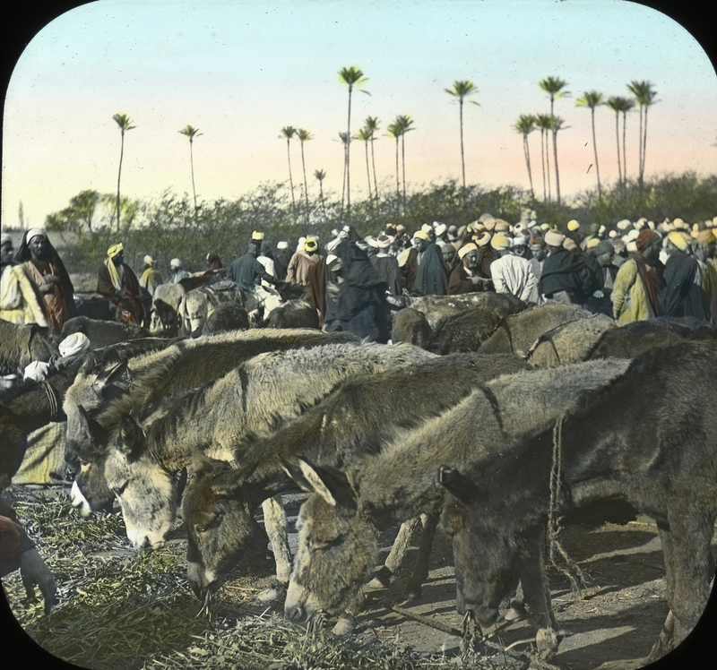 Illustration for article titled Amazing Hand-Tinted Photos of Egypt from the late 19th century